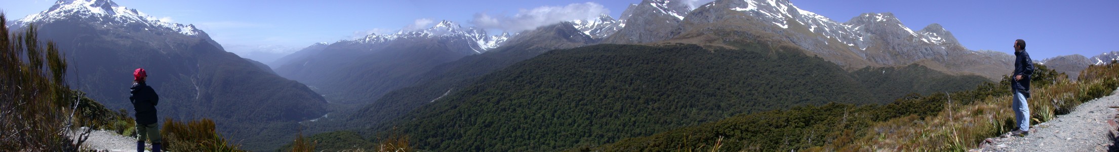 Hollyford Valley (panorama)